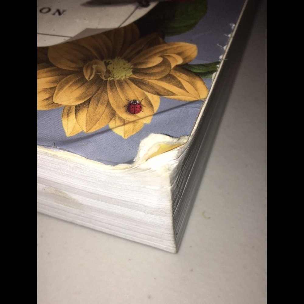 The Norton Reader In (14th) Fourteenth Edition by Melissa A Goldthwaite. - Picture 4 of 8